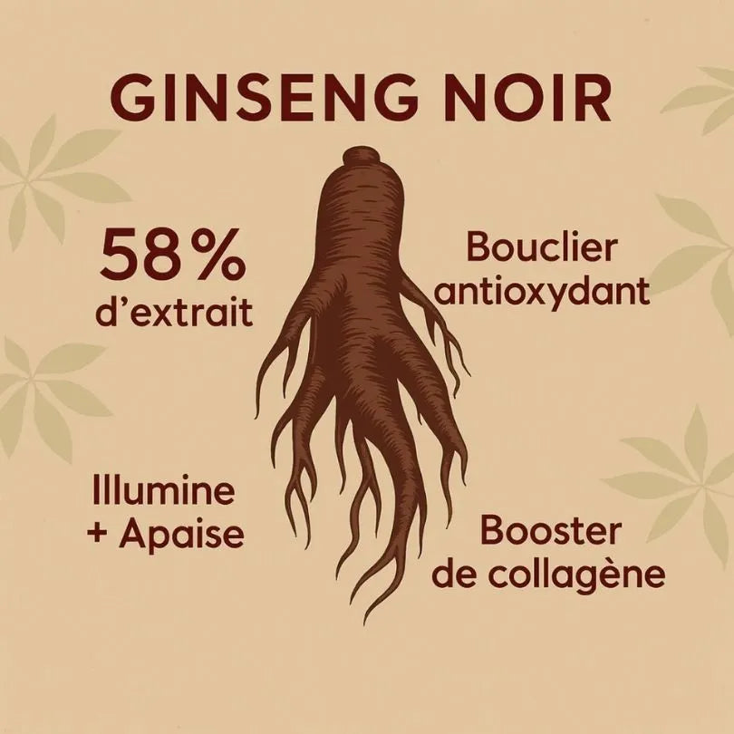 Sérum Anti-Âge au Retinal Liposome 2% + Ginseng Noir